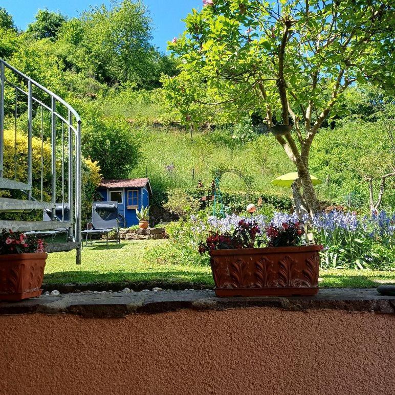 Ferienwohnung Haus Bleser Cochem Eksteriør billede